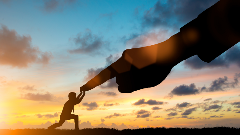 “Empowering the Future: The Role of Youth in Transforming Pakistan’s Agriculture into a Thriving Industry”