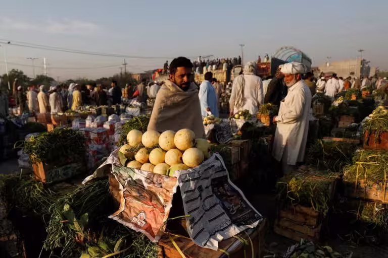 The Potential of Organic Farming in Enhancing Food Security in Pakistan
